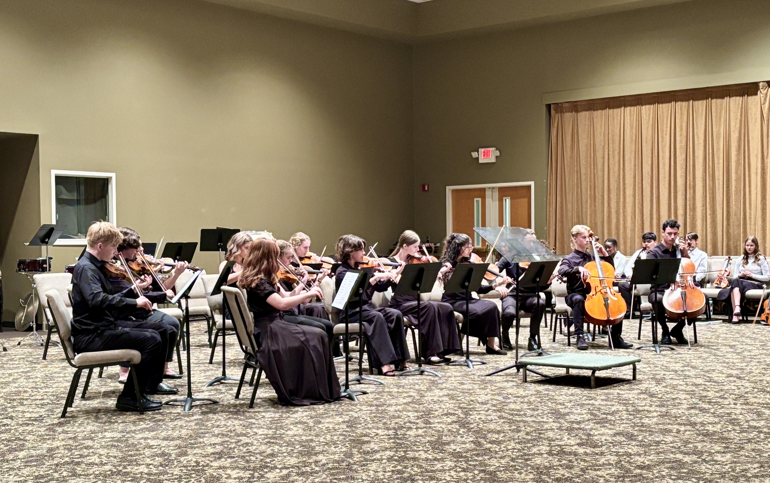 Chamber Strings